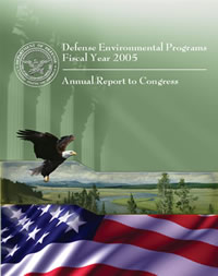 DEP FY 2005 Cover