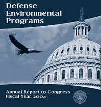 DEP FY 2004 Cover