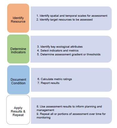 Figure 8.4. Steps for assessing ecological integrity
