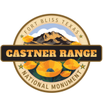 Site Icon