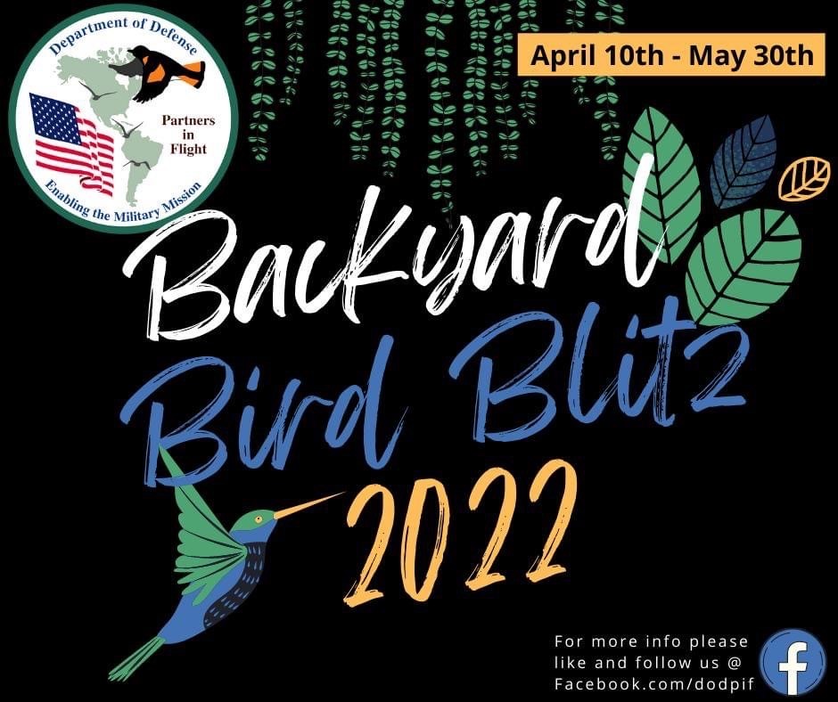 2022 Backyard Bird Blitz