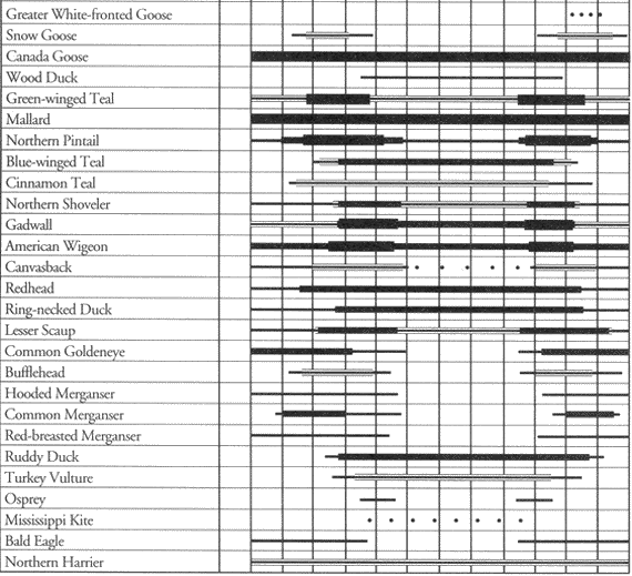 Birds of Fort Carson: Occurrence Chart