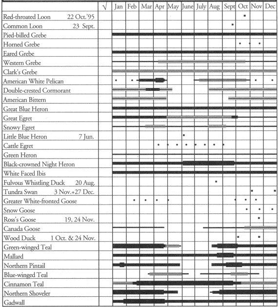 Birds of Edwards Air Force Base: Occurrence chart