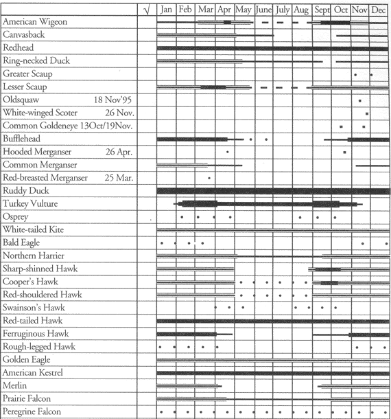 Birds of Edwards Air Force Base: Occurrence chart