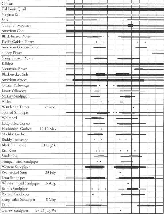 Birds of Edwards Air Force Base: Occurrence chart