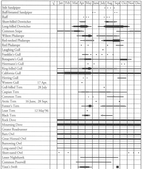 Birds of Edwards Air Force Base: Occurrence chart