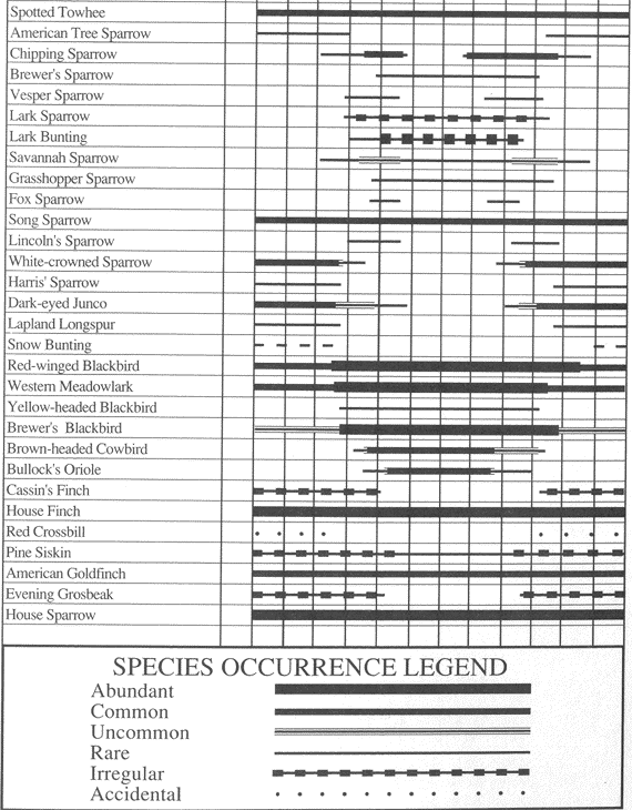 Birds of Hill Air Force Base