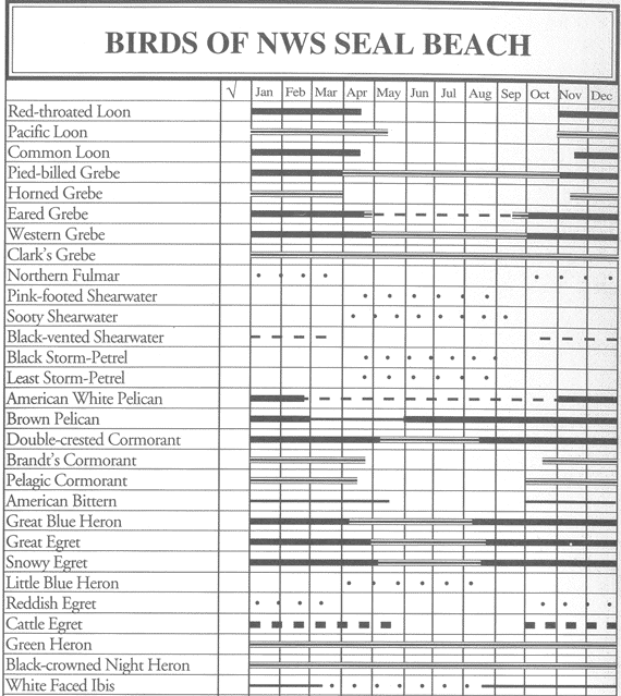 Birds of NWS Seal Beach: Occurrence chart