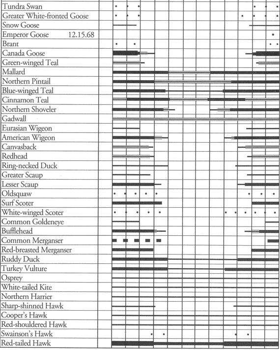 Birds of NWS Seal Beach: Occurrence chart