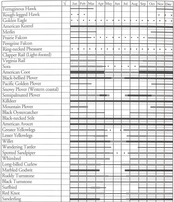 Birds of NWS Seal Beach: Occurrence chart