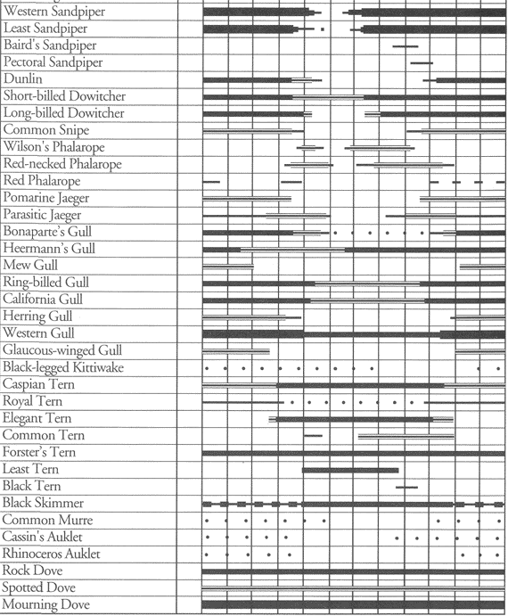 Birds of NWS Seal Beach: Occurrence chart