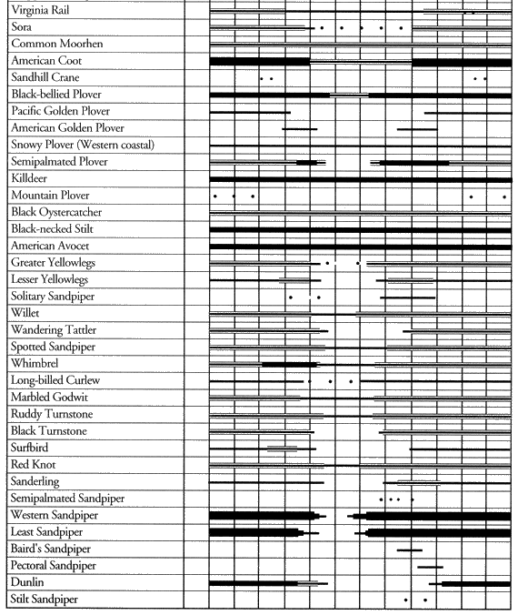 Birds of Los Angeles District: Species Occurrence